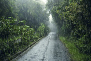 Lire la suite à propos de l’article Vigilance orange “pluie et inondations”